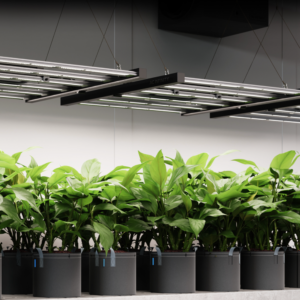 AC Infinity IONFRAME EVO8 730W: High-Yield Commercial LED Grow Light - Image 2