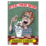 Steal These Seeds Cookies n Crème autoflower seed package.