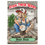 Steal These Seeds – Dixie Daze autoflower cannabis seed pack (7 feminized seeds, sweet citrus-haze strain).
