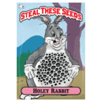 Steal These Seeds – Holey Rabbit autoflower cannabis seed pack (7 feminized seeds, bubblegum-chem strain).