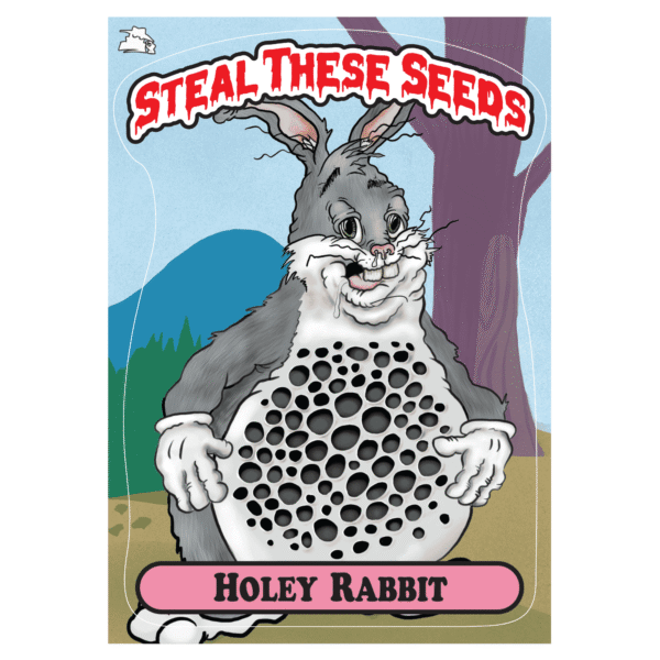 Steal These Seeds – Holey Rabbit autoflower cannabis seed pack (7 feminized seeds, bubblegum-chem strain).