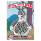 Steal These Seeds – Holey Rabbit autoflower cannabis seed pack (7 feminized seeds, bubblegum-chem strain).