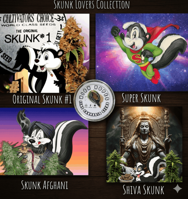 skunk-lovers-collection-regular-cannabis-seeds The Skunk Lovers Collection bundle featuring 20 premium regular photoperiodic Skunk cannabis seeds.