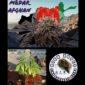 10-pack of Mādar Afghan cannabis seeds by High Hopes Genetics, a pure heavy-yielding Indica strain.